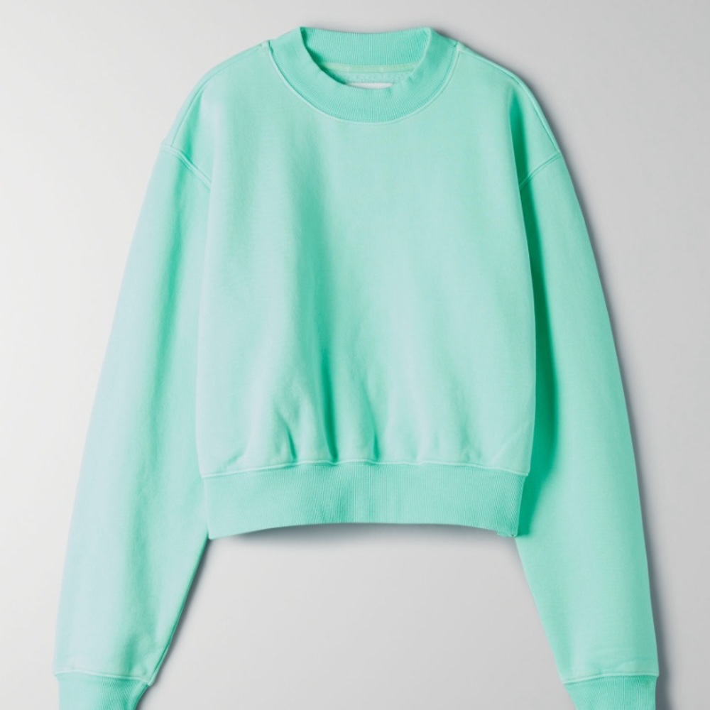 Aritzia Cozy AF Perfect Shrunken Sweater in mint